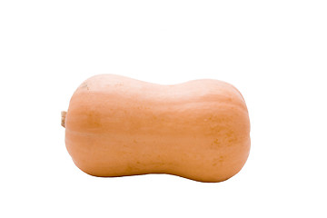 Image showing Butternut Pumpkin