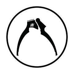 Image showing Garlic press icon