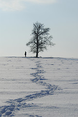 Image showing Winter