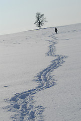 Image showing Winter