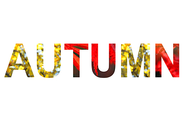 Image showing Word AUTUMN with a bright leaves of maple tree pattern