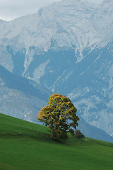 Image showing The Alps