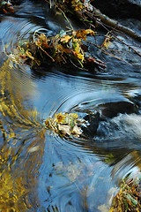 Image showing Autumnal brook