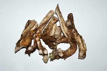 Image showing horseradish roots