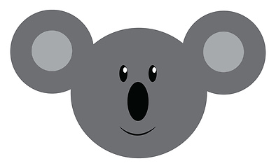Image showing Face of a baby koala vector or color illustration
