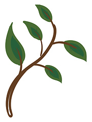 Image showing Picture of green leaves on a stem vector or color illustration