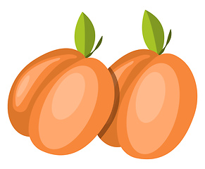 Image showing Red Fruits vector color illustration.