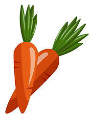 Image showing Two Carrots, vector color illustration.