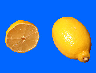 Image showing Lemons