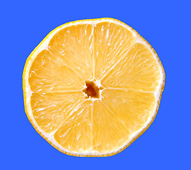 Image showing Lemon