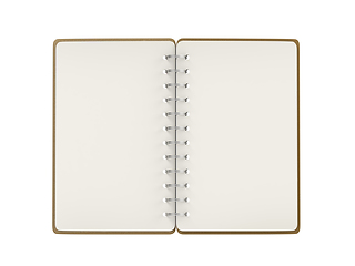 Image showing Blank spiral notebook