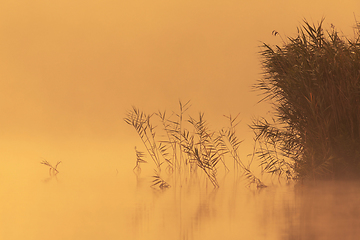 Image showing beautiful sunrise on the lake