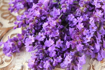 Image showing Lavender.