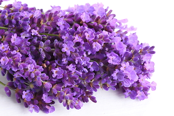 Image showing Bouquet of lavender.