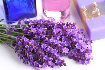 Image showing Bouquet of lavender.