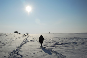 Image showing Winter