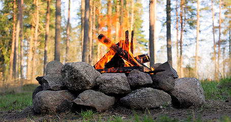 Image showing Burning Campfire in the forest