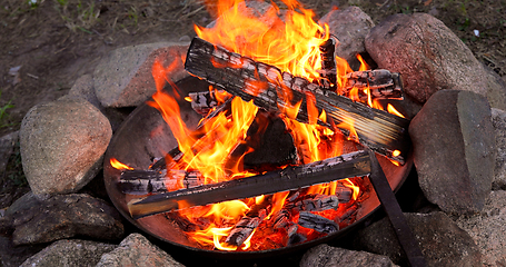 Image showing Burning Campfire in the forest