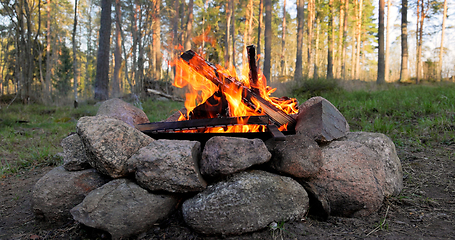 Image showing Burning Campfire in the forest