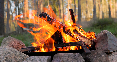 Image showing Burning Campfire in the forest