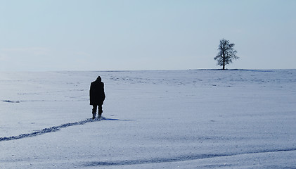 Image showing Winter