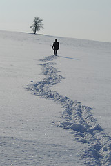 Image showing Winter