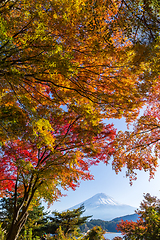 Image showing Mount Fuji in Autumn season of Japan