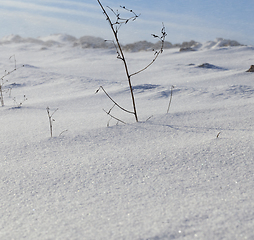 Image showing Snow drifts in winter