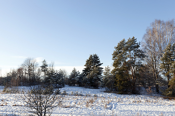 Image showing After snowfall