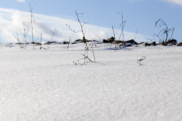 Image showing Snow in winter