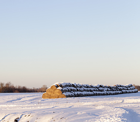 Image showing Winter season. Photo