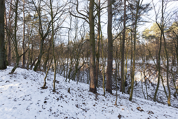 Image showing Snow drifts in winter