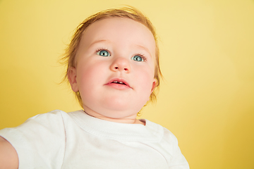 Image showing Caucasian little girl, children isolated on yellow studio background