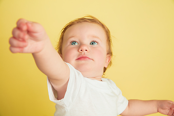 Image showing Caucasian little girl, children isolated on yellow studio background