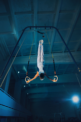 Image showing Little male gymnast training in gym, flexible and active