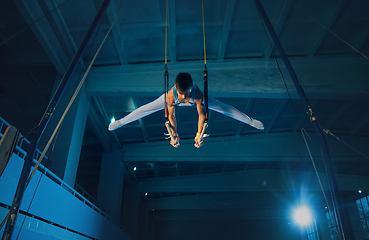 Image showing Little male gymnast training in gym, flexible and active