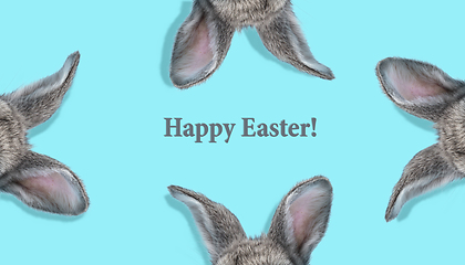 Image showing Adorable Easter bunny isolated on blue studio background, flyer, greeting card