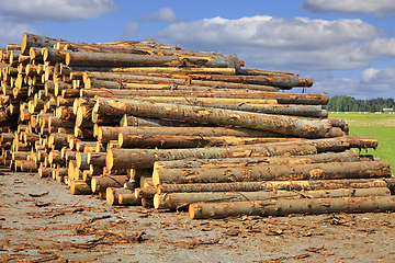 Image showing Stacked Logs at the Sawmill