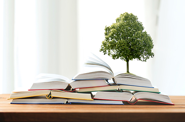 Image showing oak tree growing on books on wooden table