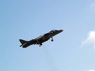 Image showing Harrier climbs