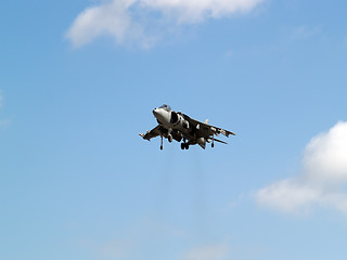 Image showing Harrier hovering