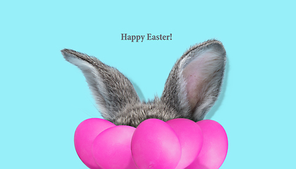 Image showing Adorable Easter bunny isolated on blue studio background, flyer, greeting card