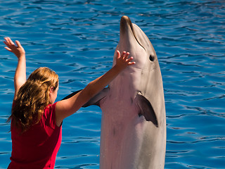 Image showing Playing with dolphin