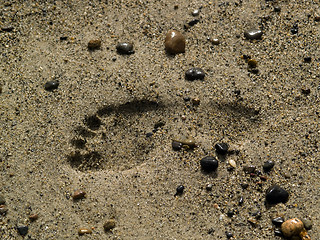 Image showing Foot impriny on sand