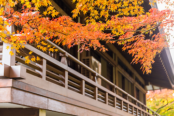 Image showing Beautiful temple park in Japan