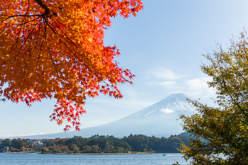 Image showing Fuji in autumn