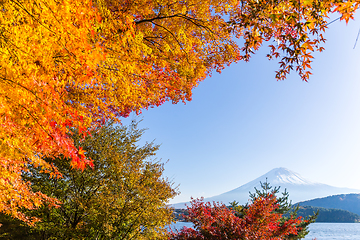 Image showing Mt. Fuji and autumn foliage at Lake Kawaguchi