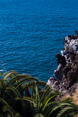 Image showing beautiful view on blue ocean water and palm tree