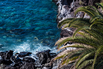 Image showing beautiful view on blue ocean water and palm tree