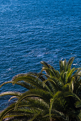 Image showing beautiful view on blue ocean water and palm tree